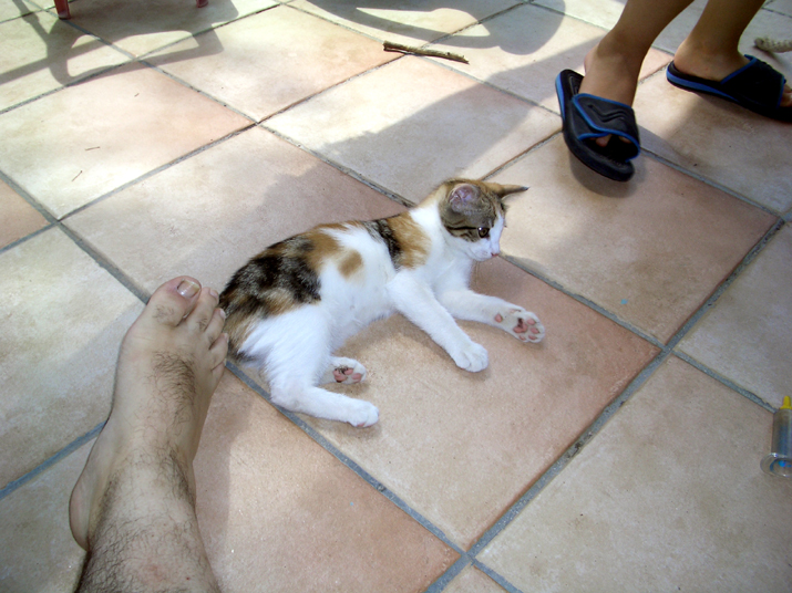 Caramel 08-04 004.jpg